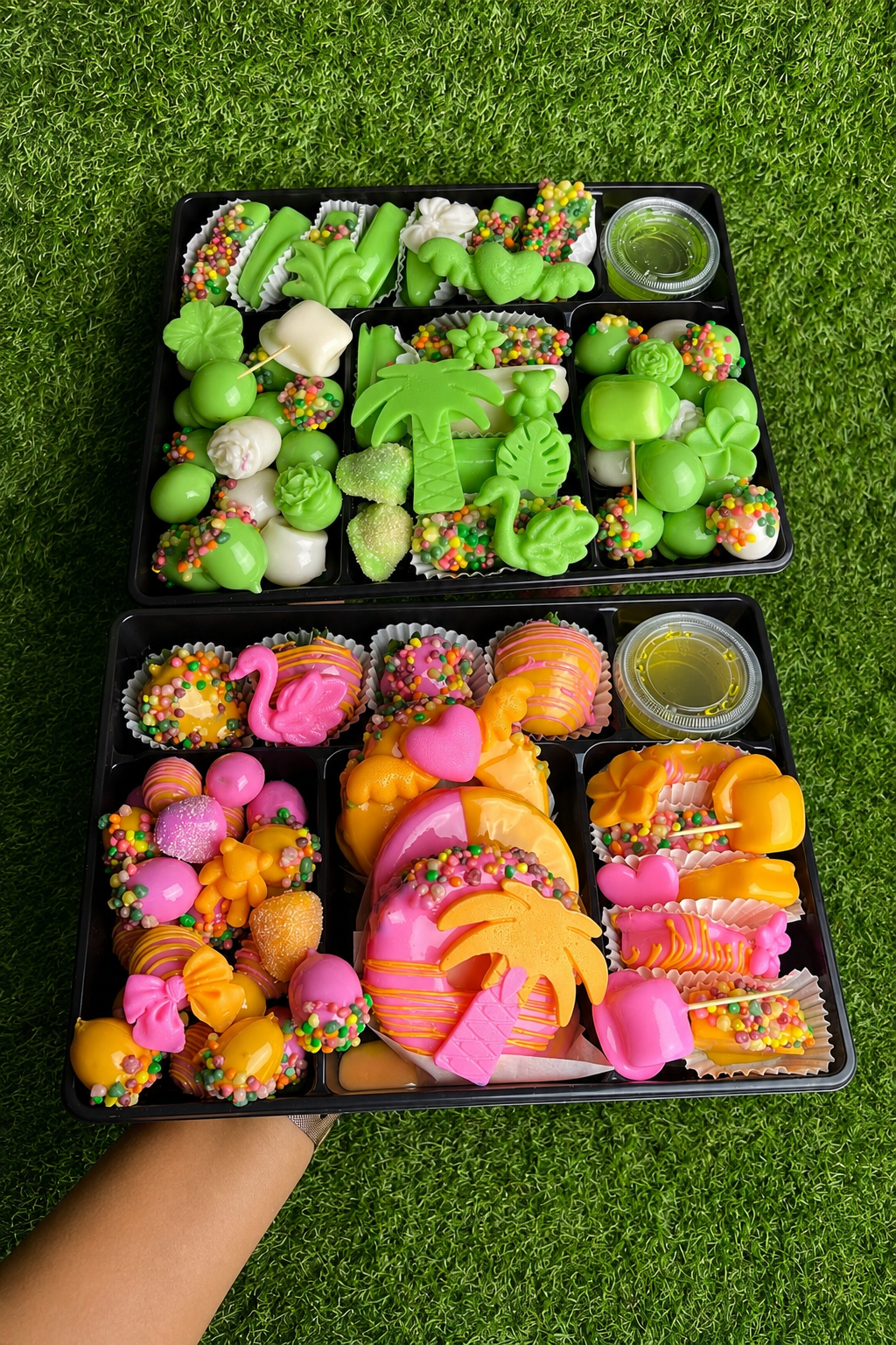 Pack Familial 📦 50 candyfruits 🇫🇷