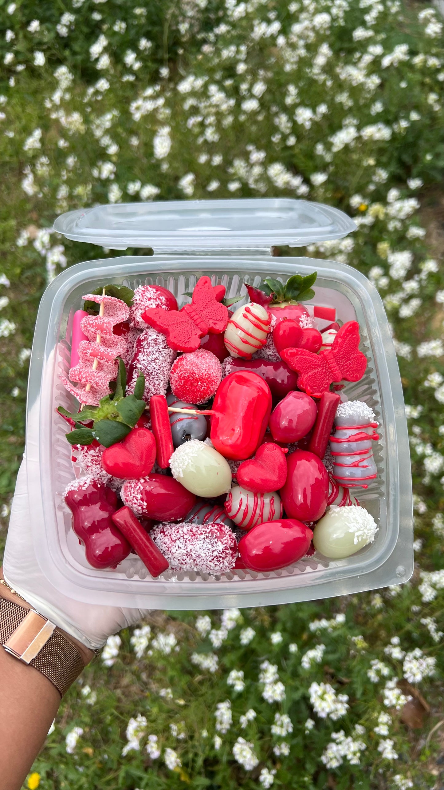 Moyenne Box 🍓 20 candyfruits - 66 uniquement