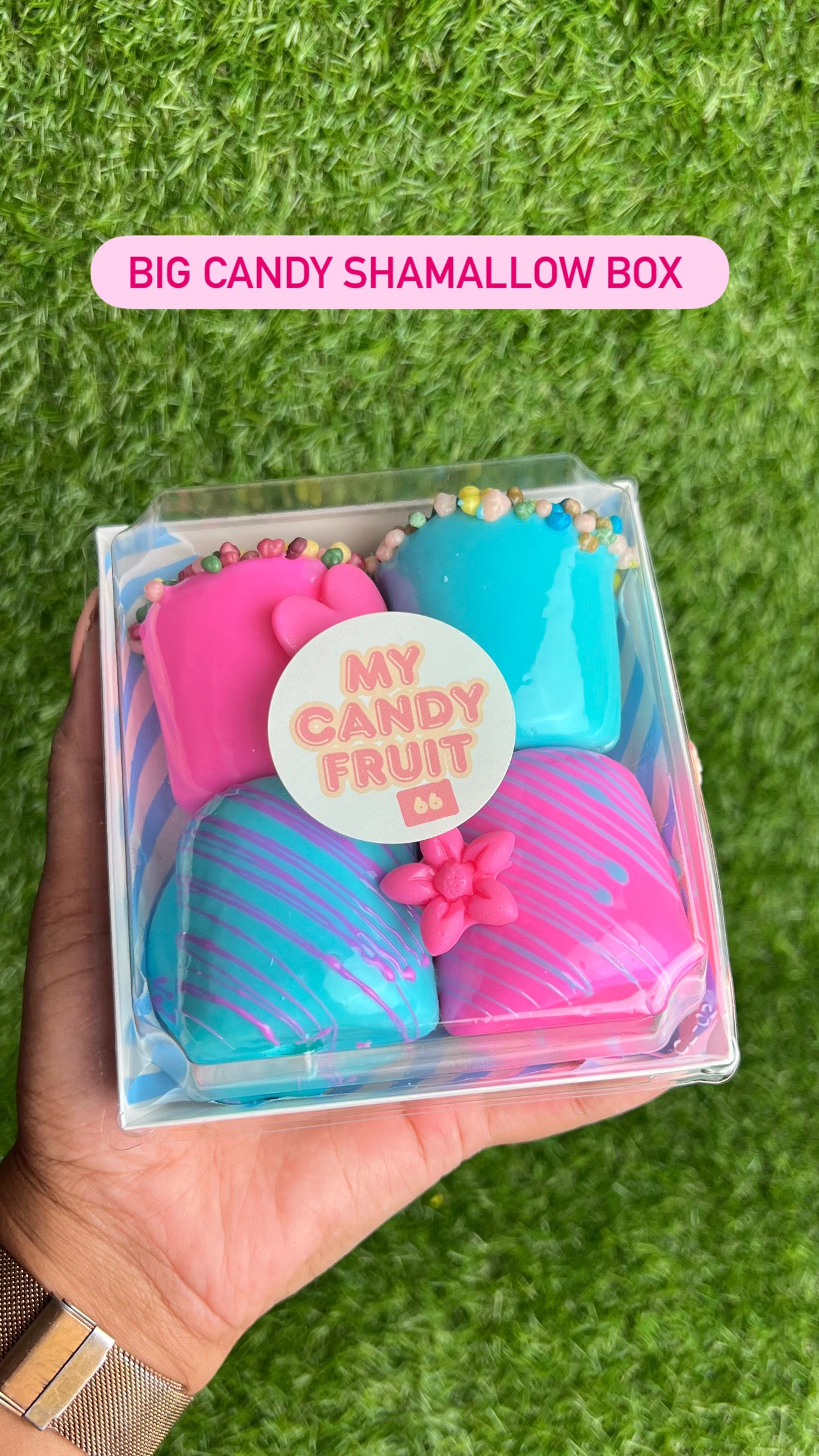 BIG CANDY SHAMALLOW BOX SURPRISE 🍭 4 unités - Livraison partout en France 🇫🇷