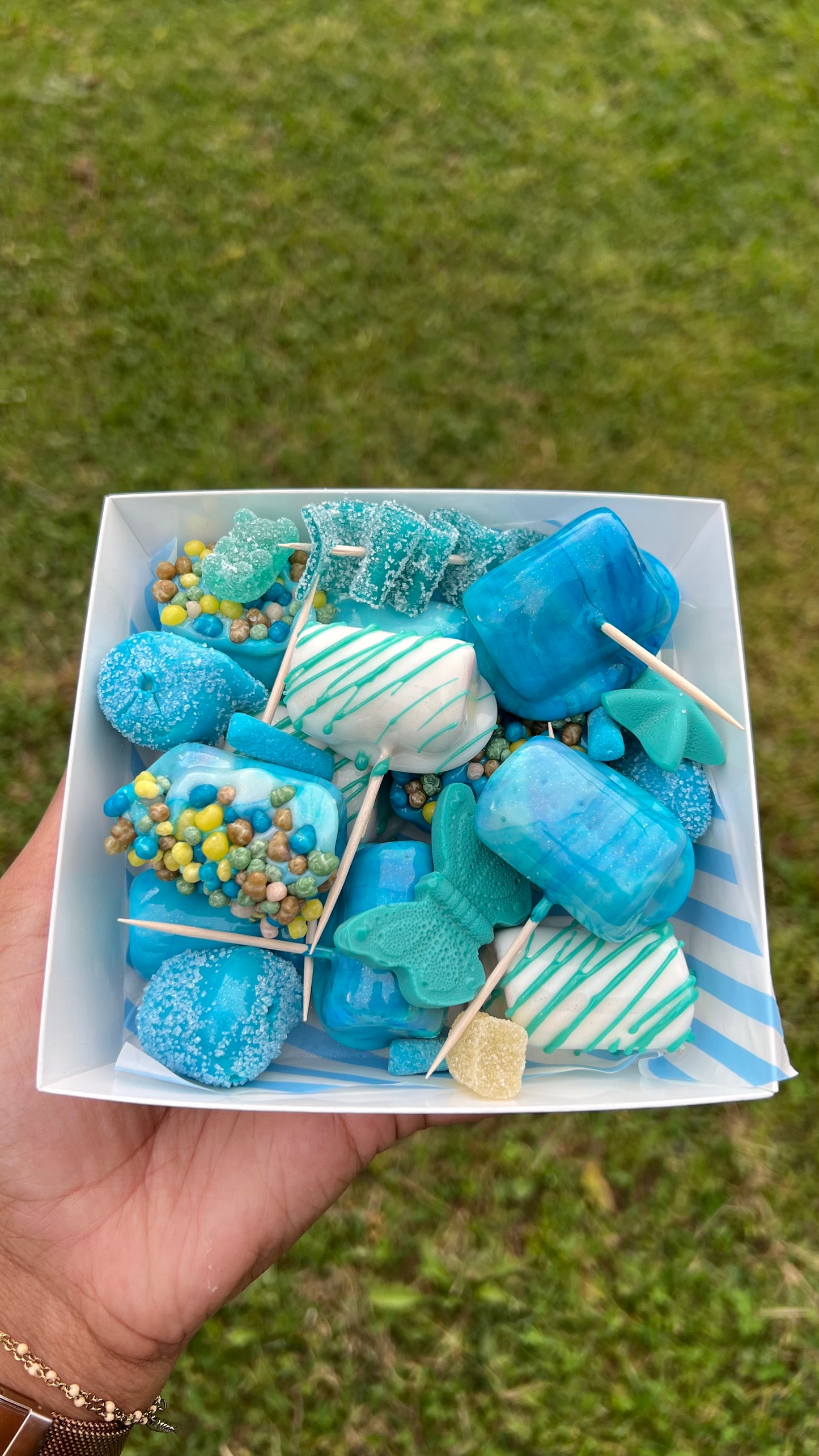 CANDY SHAMALLOW BOX 🍭 12 unités - 66 uniquement