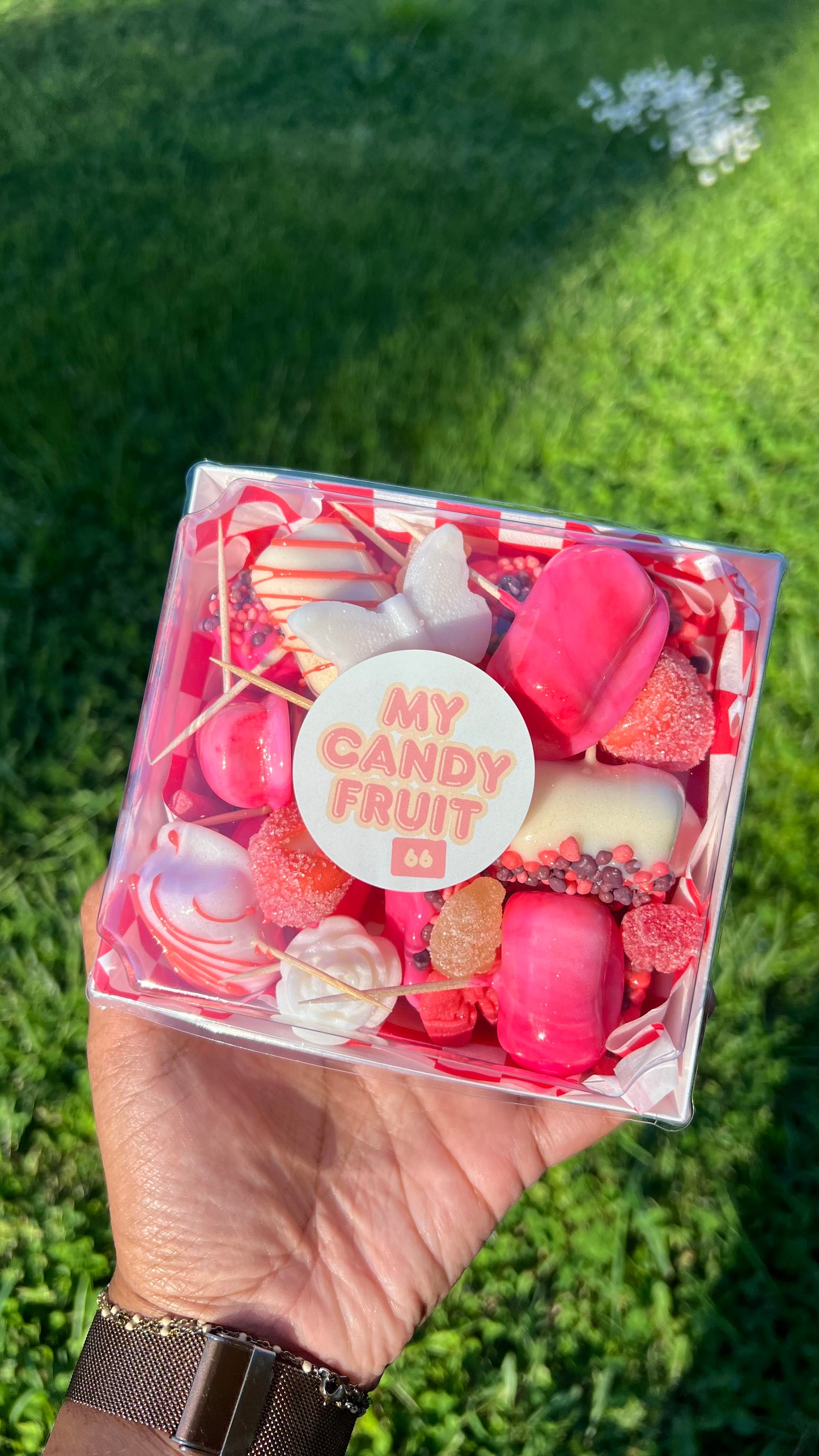 CANDY SHAMALLOW BOX 🍭 12 unités - 66 uniquement