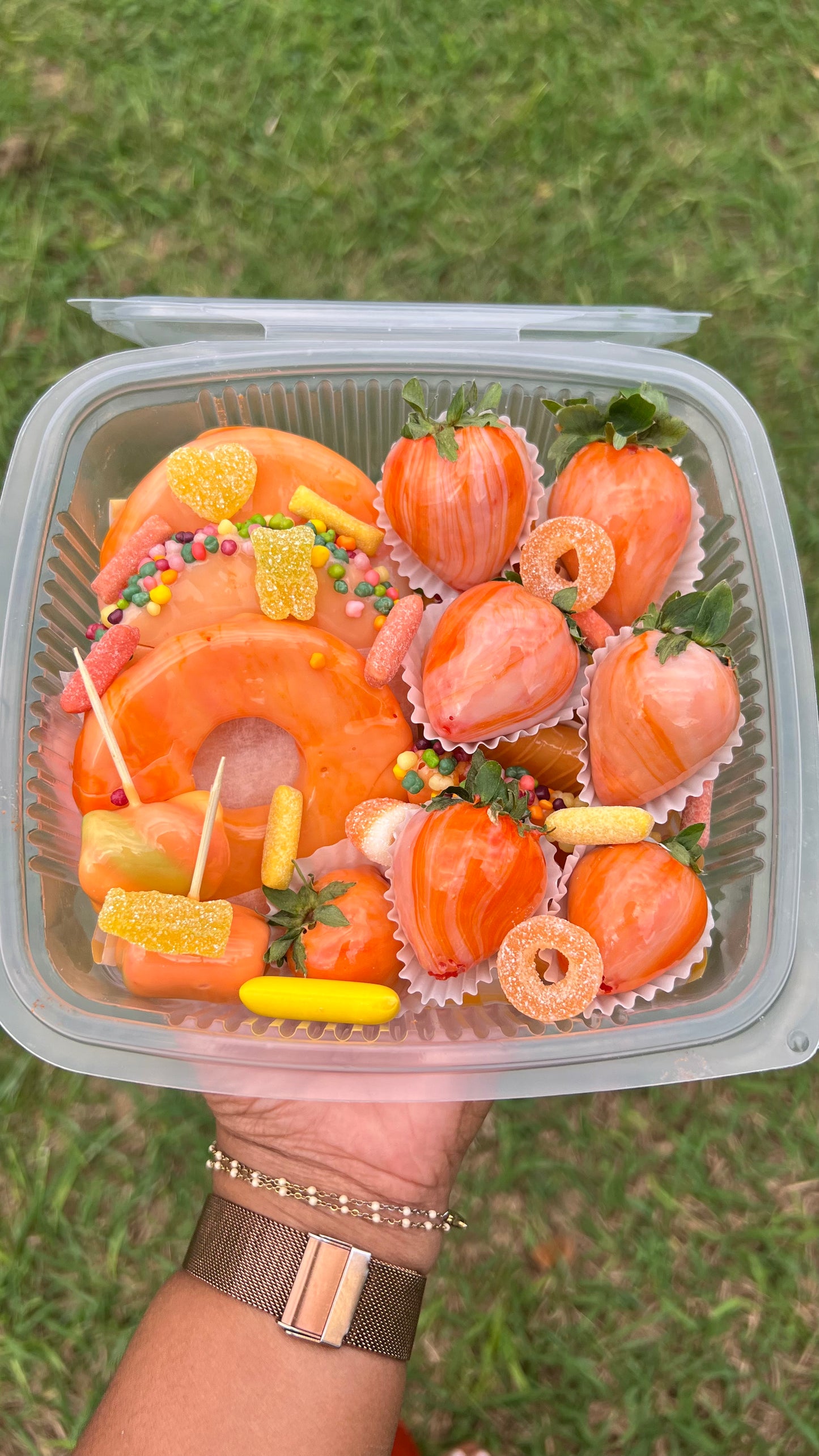 Moyenne Box 🍓 20 candyfruits - 66 uniquement