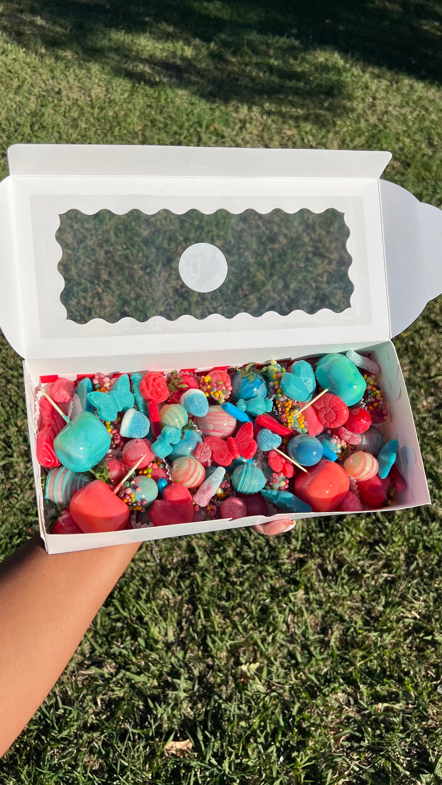 Box Évènement 🍓35 candyfruits - 66 uniquement