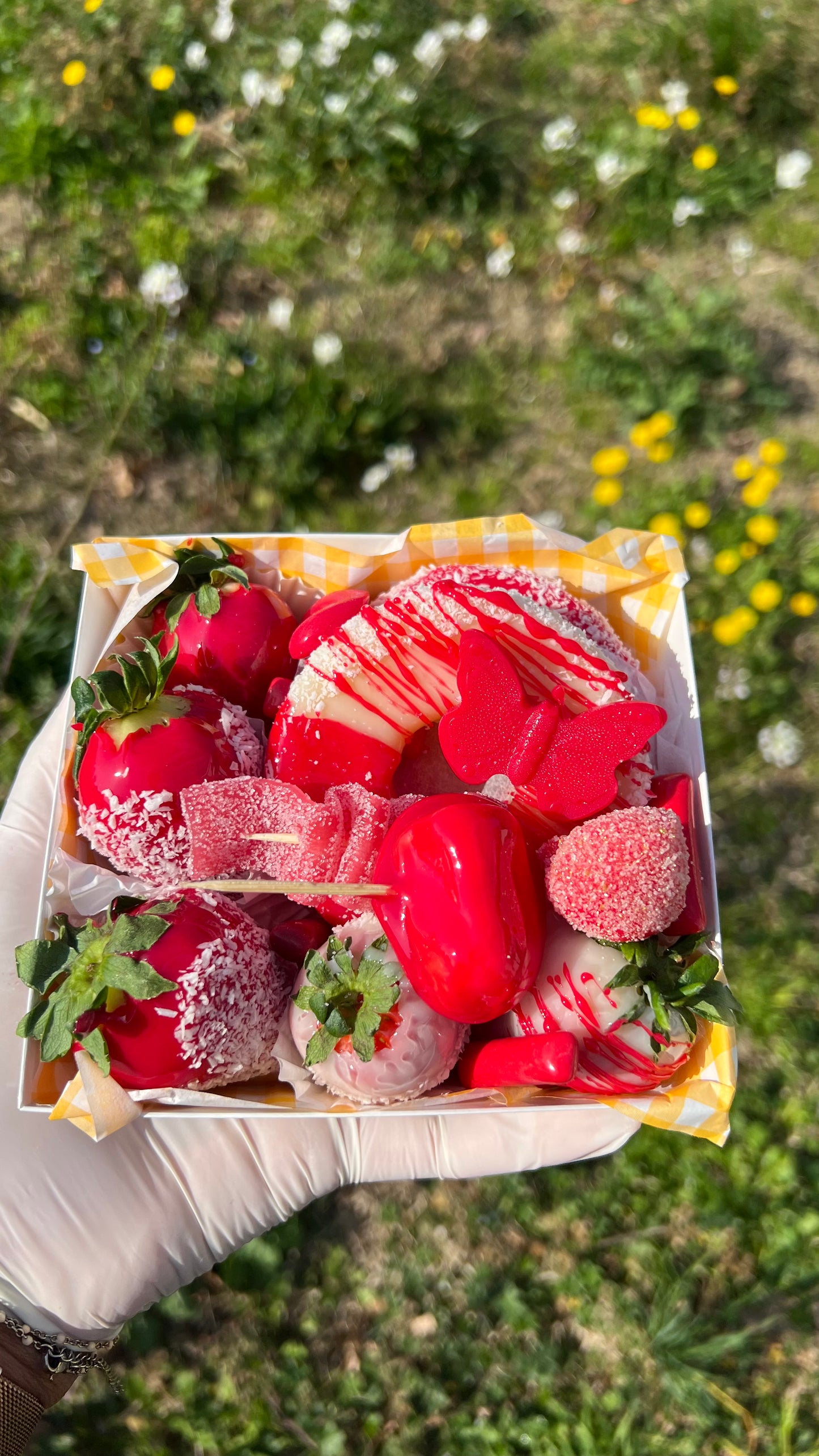 Petite Box 🍓 12 candyfruits -66 uniquement