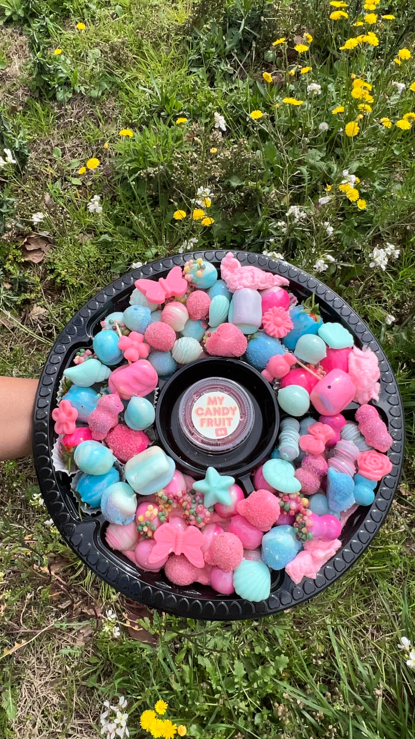 Family Box 🍓40 candyfruits - 66 uniquement